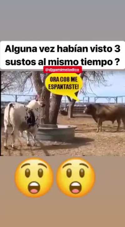 Joder susto triple