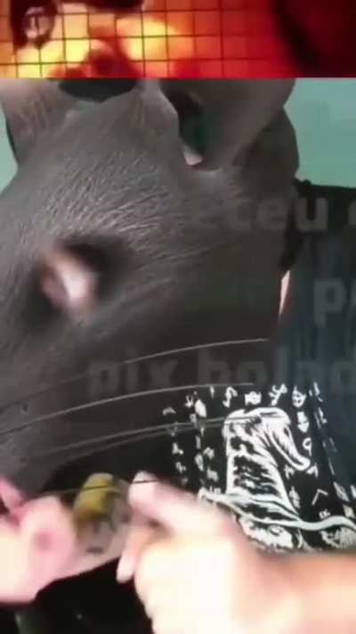 Xiiiiii