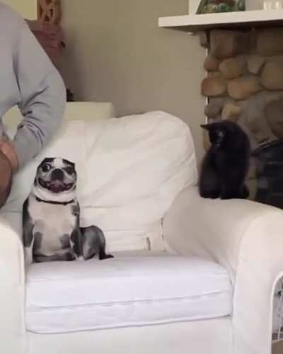 Surprise!