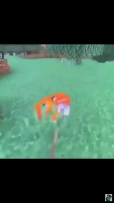 &ldquo;This is my fox Walter&rdquo;
