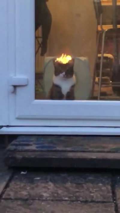 Hail Satan
