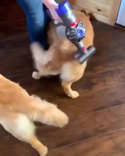 eViL sCiEntiSt eXtrAcTs gOLd fRoM hELpLeSS gOLdEn dOg