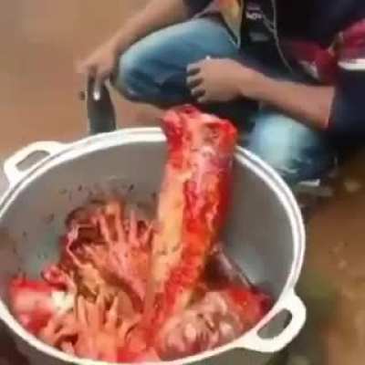UMA DELICIA