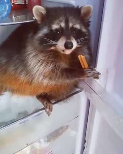 Aww