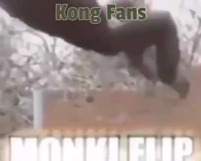 MONKE GANG