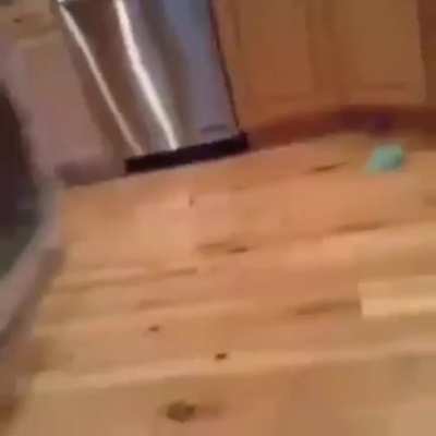 Litteral *** wash content