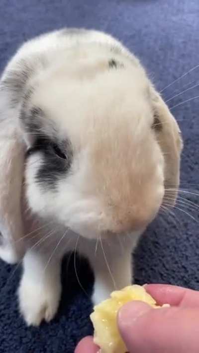 Banana mouf