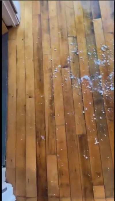Kids do the darnedest things