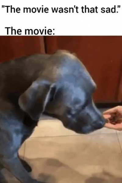 Yeet