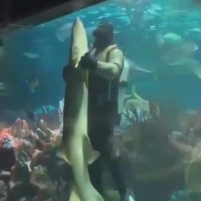 Guy dances with shark :)