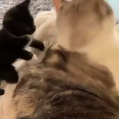 MRW i realise my mistake