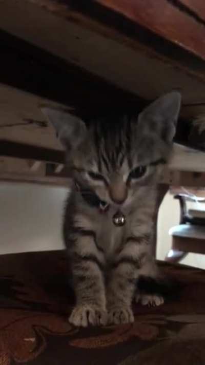 Hi! Love me! No? Kbye.