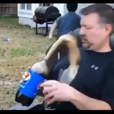 Look dad have this