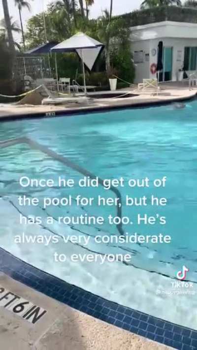 Orthodox Swimmer who&rsquo;s upset there&rsquo;s a man swimming in the pool goes full Karen with, &ldquo;Call the Manager&rdquo;