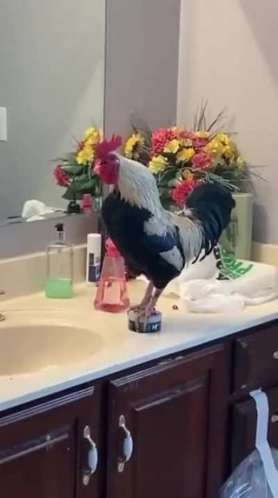 I have several questions