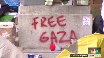 Oakland teacher fired for wearing &lsquo;Free Palestine' pin