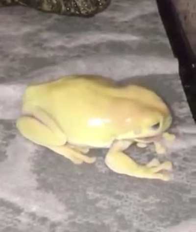 ?
