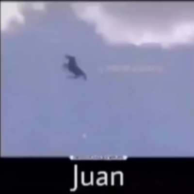 He do be flying...