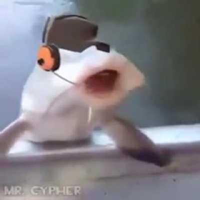 Fish scout
