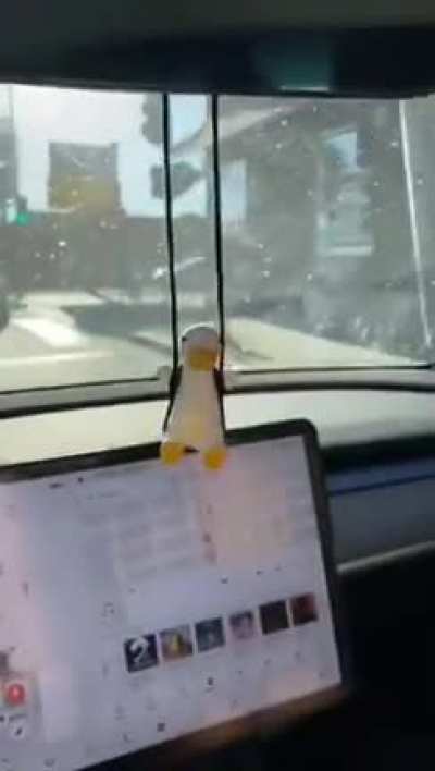 I will buy a car just for this
