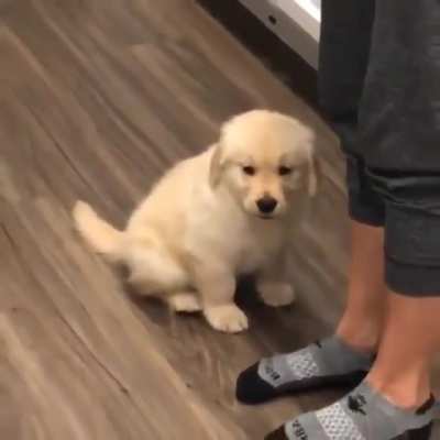 Won&rsquo;t leave you until I&rsquo;m Kissed