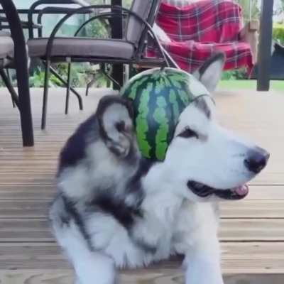 When you finally get that armor upgrade