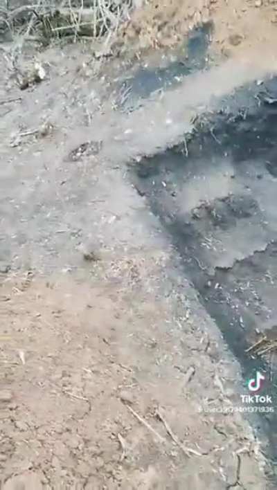 UAF discovers a Russian Spy in their trenches, results in Brutal confrontation. 