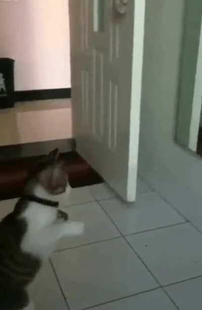 Who&rsquo;s dat??