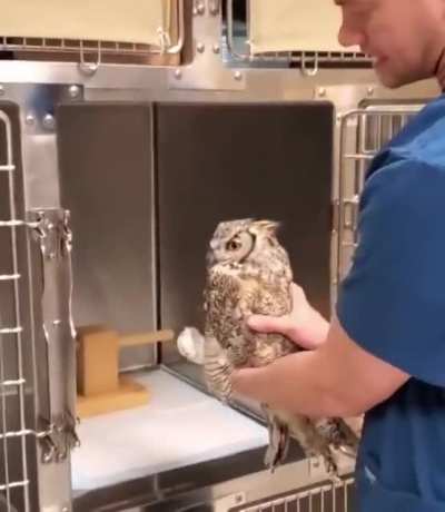 Sir I don't think the anaesthetic has worn off