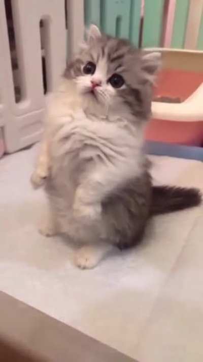 Mildly tapping the air