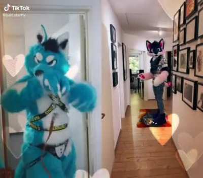 furry_irl