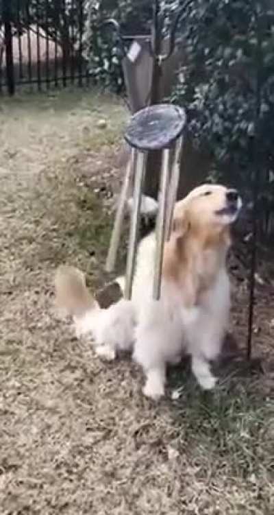 Maybe maybe maybe