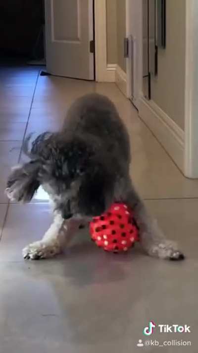 Its the wind up for me (just cuteness)