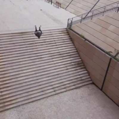 This guy jumping an entire flight of stairs