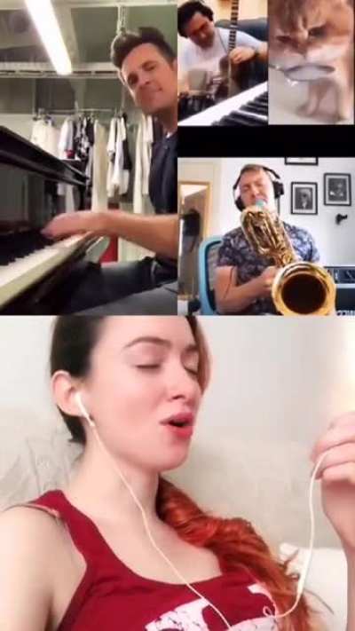 This cat turned into a song