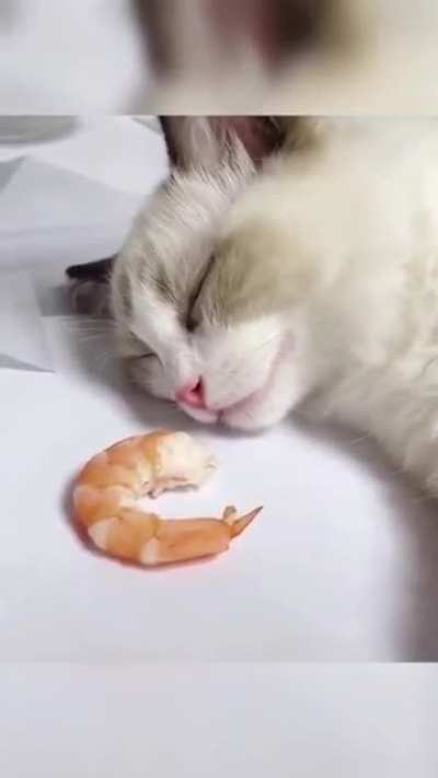 "OMG it wasn't a dream after all!"
