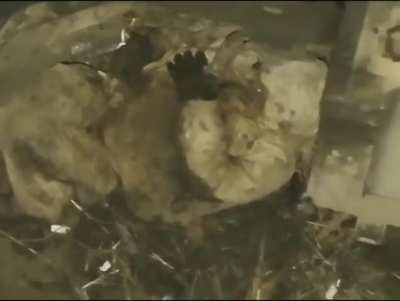 rescue of wounded Ukrainian by Drone❤️&zwj;🩹❤️🇺🇦🇺🇦🇺🇦🇺🇦🫡