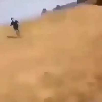 XD