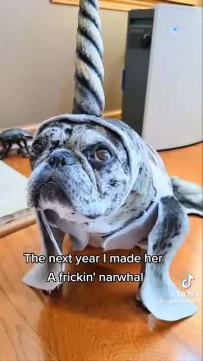 When will Rory win a costume contest?!