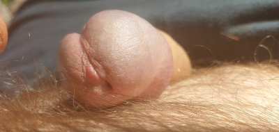 I need a willing buddy to help