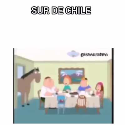 oe pucon