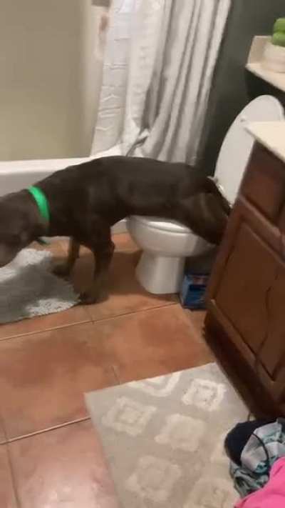 Always forgets to flush&hellip;