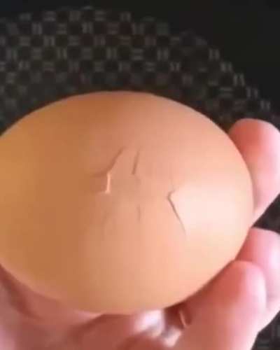 Behold, the miracle of life