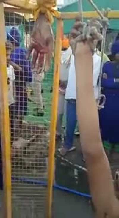 singhu border (1)