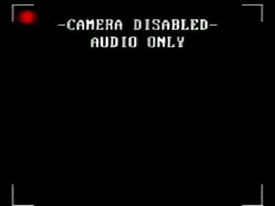 Showtape Interruption - FNAF VHS