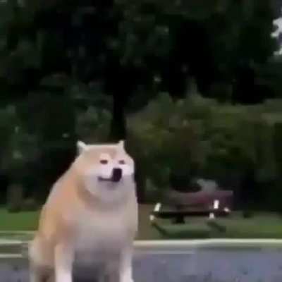 mati cuando la lata se cay&oacute; por segunda vez: