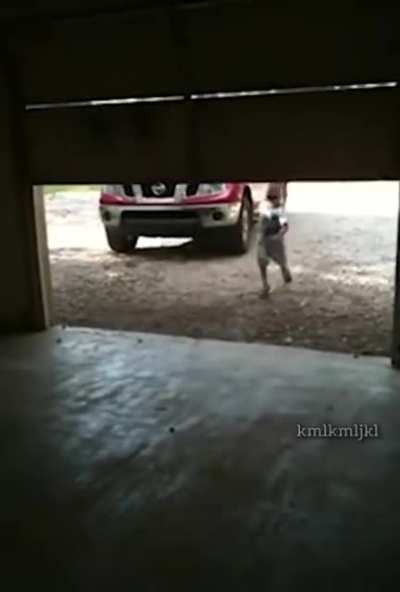 Bonk