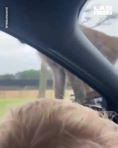 Surprise!