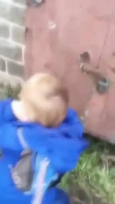 He do be vibin tho