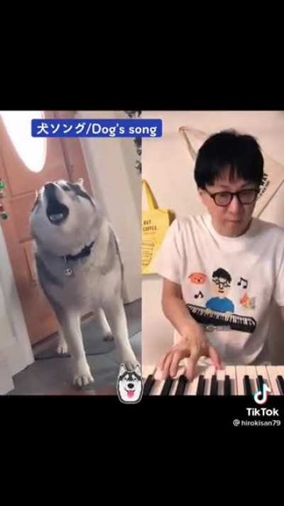 Concerto for Piano and Husky